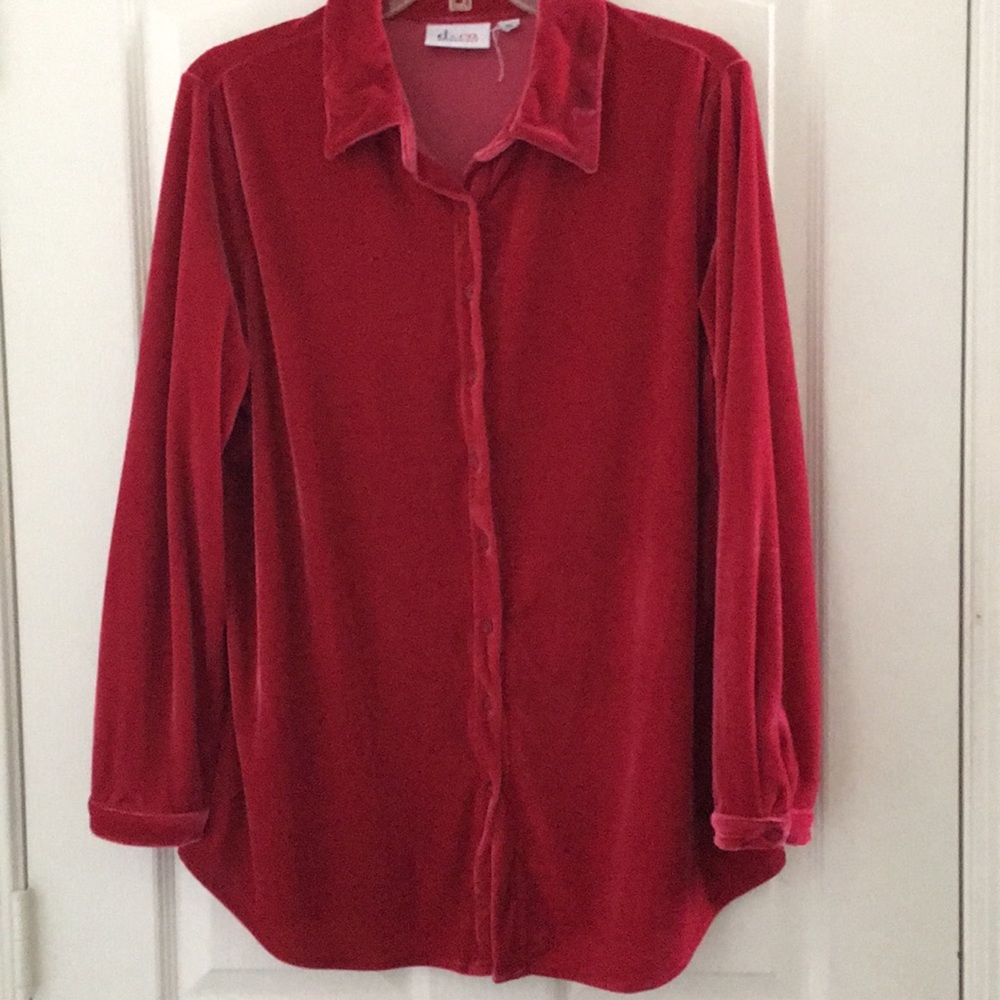 FINAL MARKDOWN Ladies Velour Blouse Medium